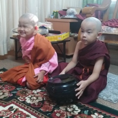 Thant Zaw Zaw, 18.09.1981, Yangon