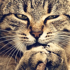 Анастасия Соловьева, 22.08.1991, Алматы