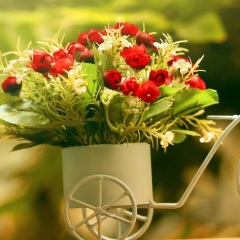 Лида Лида, 03.03