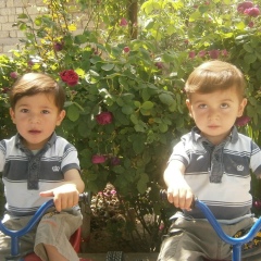 Sanan Ibishov, 22.12.1980, Москва