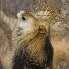 Ольга Маленьких, 24.06.1968, Воткинск