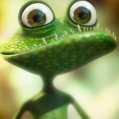 Ольга Ёлкина, Bruxelles