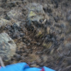 Саша Черевко, 30.01.1990, Санкт-Петербург