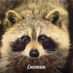 Александр Филиппов, 07.02, Бийск