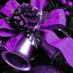 Дуда Алёна, Киев