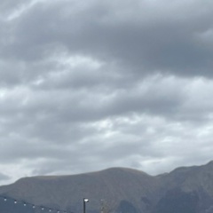 Маша Медведий, 17.10, Санкт-Петербург