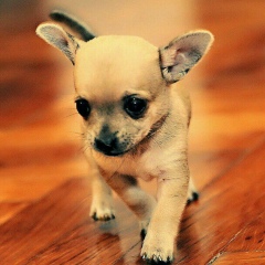 Ансар Молдаш, 14.09, Алматы