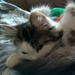 Алёна Котова, 04.08, Санкт-Петербург