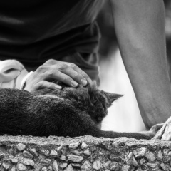 Алдияр Ермагамбет, 19.04, Алматы