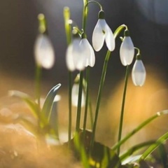 Ольга Якушева, Нефтеюганск