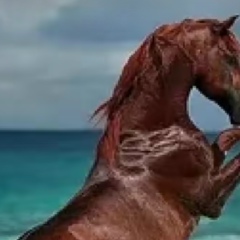 Саша Шадрин, 21.06.1973, Пермь