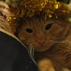 Ольга Маямсина, 19.09