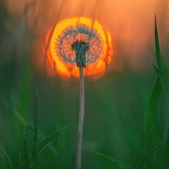 Adilet Uteshev, 06.04, Уральск