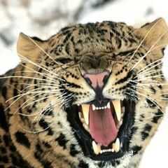 Olga Belõhh, 05.07, Вильянди