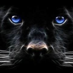 Константин Хабенски, 26.05.1984, Черкассы