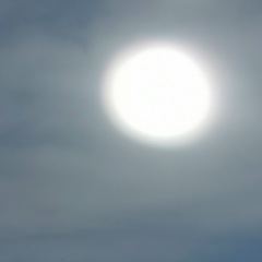 Анастасия Марданова