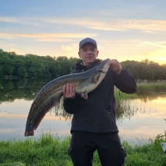 Погорнец Виталий, Калининград