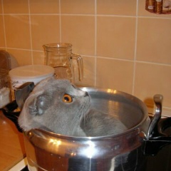 Галия Хайруллина (Гайнуллина), 20.04, Казань