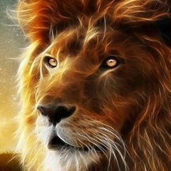 Юра Сенчук, 09.10.1983, Львов