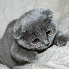 Ариша Мухина, 02.01, Рубцовск