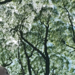 Наталья Бахтина, 26.06.1986, Новосибирск