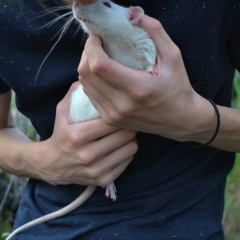 Алексей Борков, 31.10.1998, Frankfurt am Main