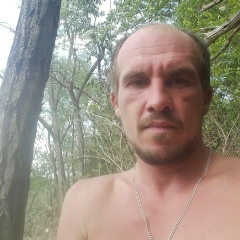 Александр Медведев, Степурино (деревня)