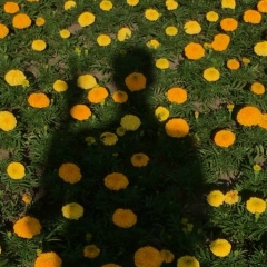 Абулхаир Распеков, 25.11.1993, Алматы