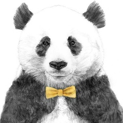 Даурен Сатыбалдинов, 21.06.1995, Москва