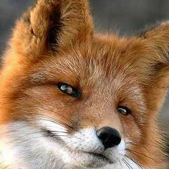 Оксана Целовальникова, 03.06.1977, Киев