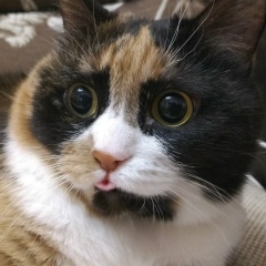 Валерыч Гец, 17.08.1985, Псков