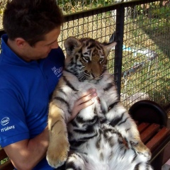 Александр Матвеев, 10.07.1986