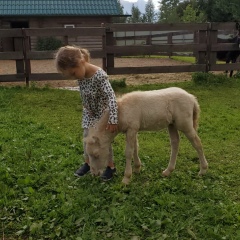 Борис Бородихин, 23.12.1984, Санкт-Петербург