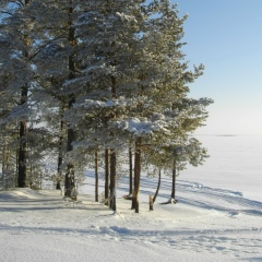 Юля Ширягина, 31.01.1975, Москва