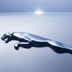 Вадик Ястребов