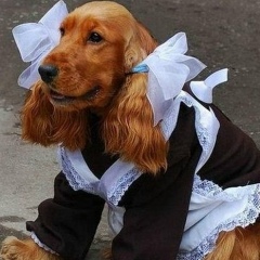 Светлана Башинская, 18.03, Житомир