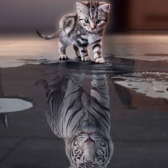 Александр Язовский, 09.04.1958, Екатеринбург