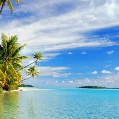 Евгений Пашковский, 18.08, Киев