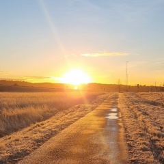 Vadims Kabakovs, 17.11, Stockholm