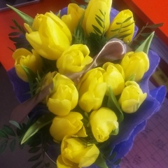 Дана Ержанова, 23.09.1985, Алматы