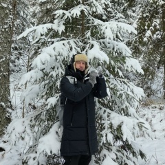 Николай Дмитриев, Санкт-Петербург