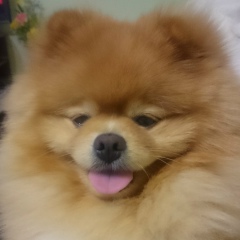 Роман Серебренников, 11.08.1985, Ейск