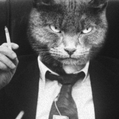 Александр Авершин, 25.07