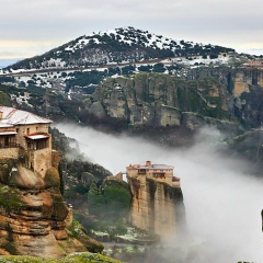 Елена Рогова