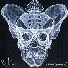 Arti Arti, 28.02.1982, Москва