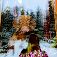 Лариса Мизюева, 21.07, Санкт-Петербург