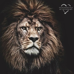 Александр Жлоба, 12.08.1983, Ростов-на-Дону