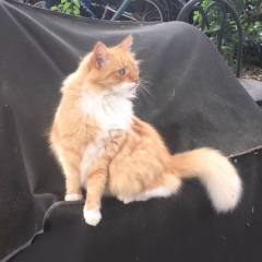 Виктор Клевченя, 27.02.1981, Myrtle Beach