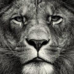 Хава Исаева, 29.01.1994, Sydney