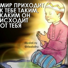 Ильнар Мингазов, 19.04.1987, Сочи